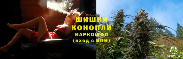дмт Алзамай