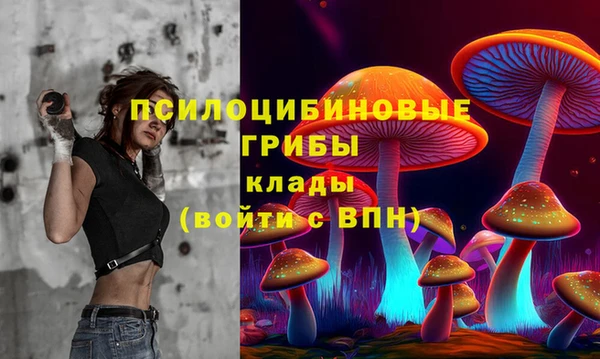 дмт Алзамай