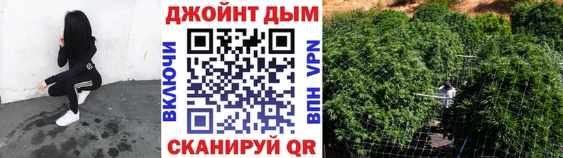 Канабис MAZAR  купить наркотики сайты  Карачаевск 